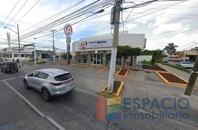 Foto de la galeria de imagenes